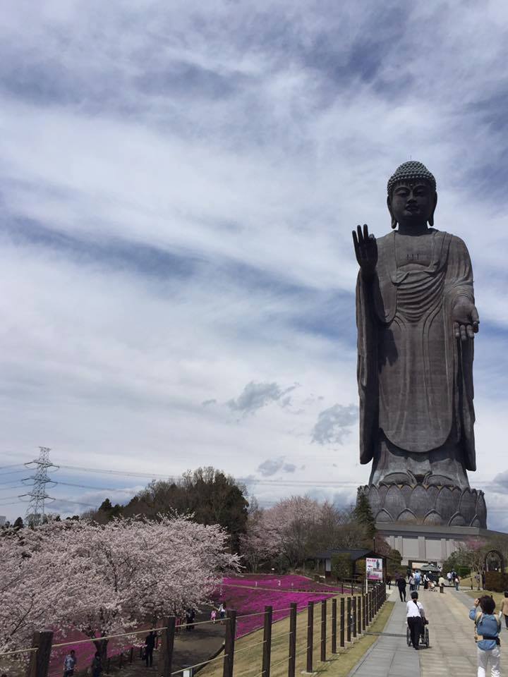 statues-of-Buddha